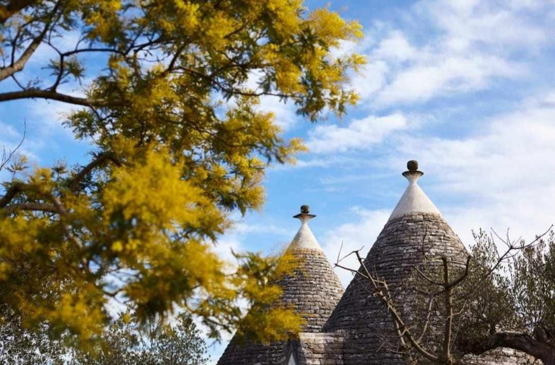 Trulli Azzalema With Exclusive Pool Villa Brindisi Exterior photo